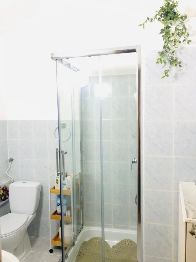 Downtown Andrássy Apartament *